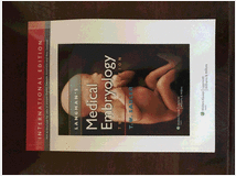 Langman's medical embryology 12th edition nuovo